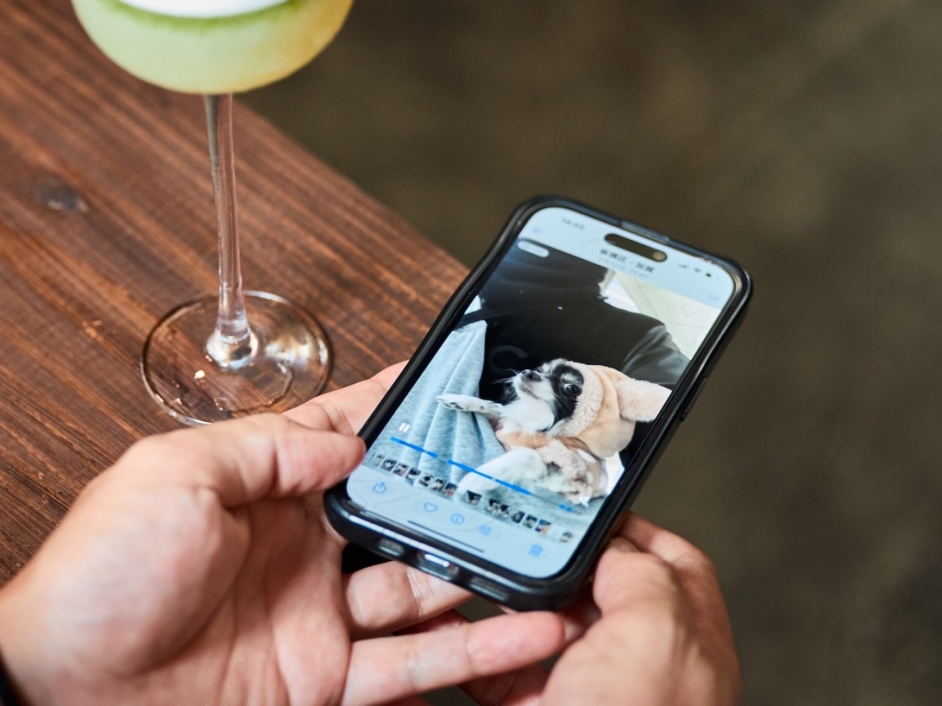 自身のウォーキングの前には愛犬”ウルトラマン”との散歩が日課。「1日何キロ歩いているんだって話ですよね（笑）」。