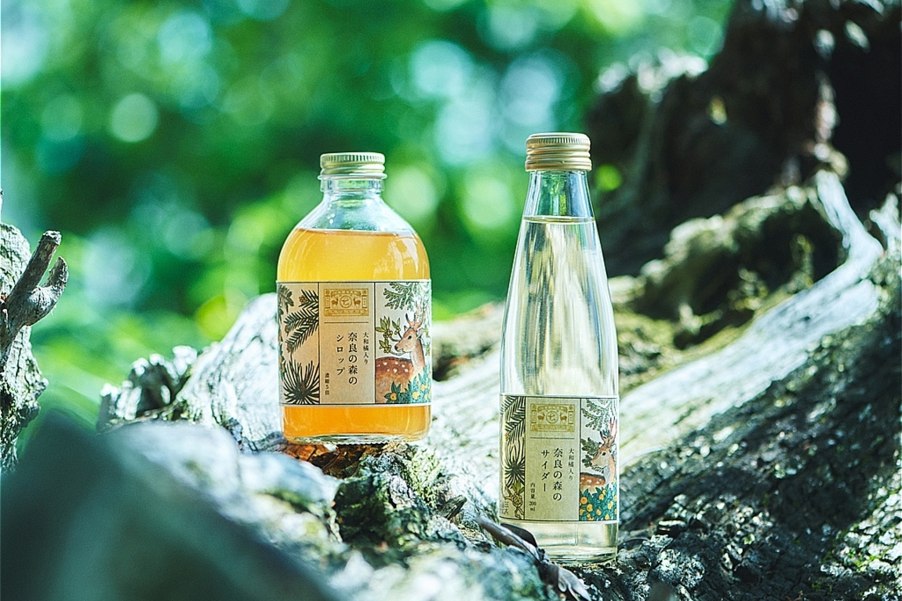 日本最古の森を飲む！！
「奈良の森シロップ・サイダー」　
