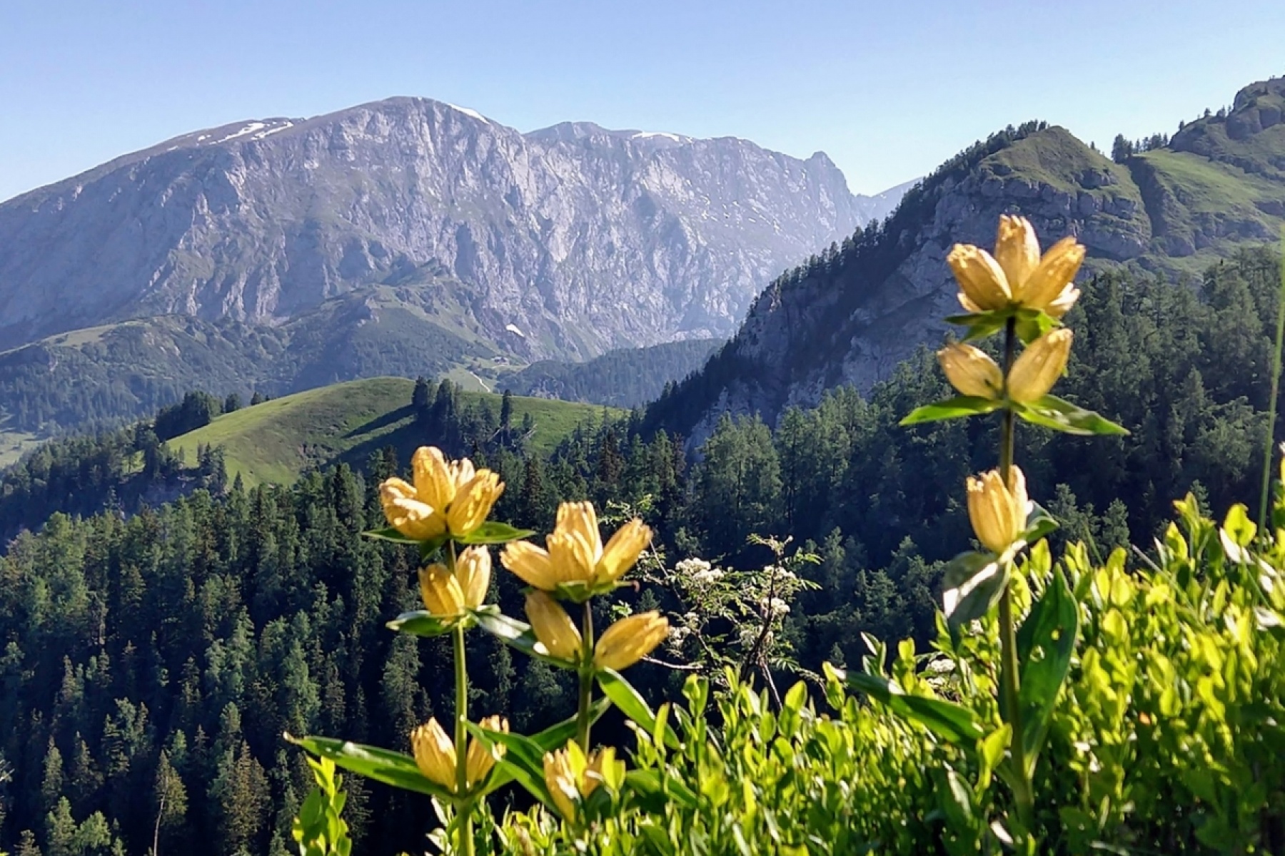 In search of the supreme 