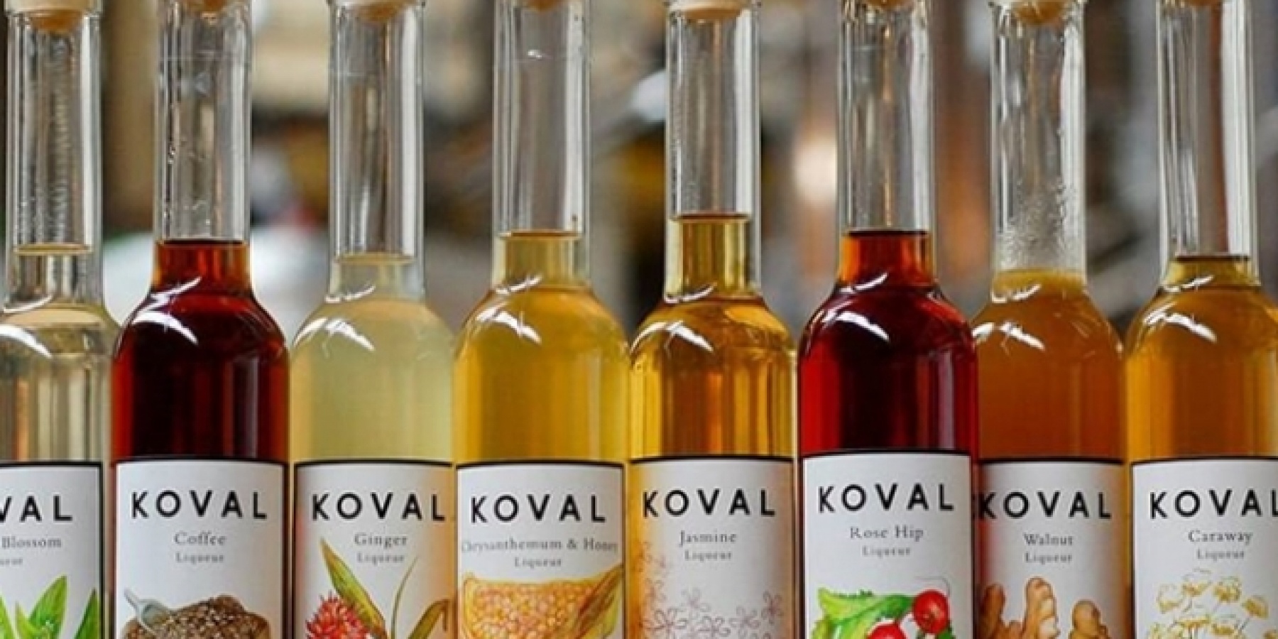 あのシカゴ生まれのKOVALから
リキュール8種類がリリース！
