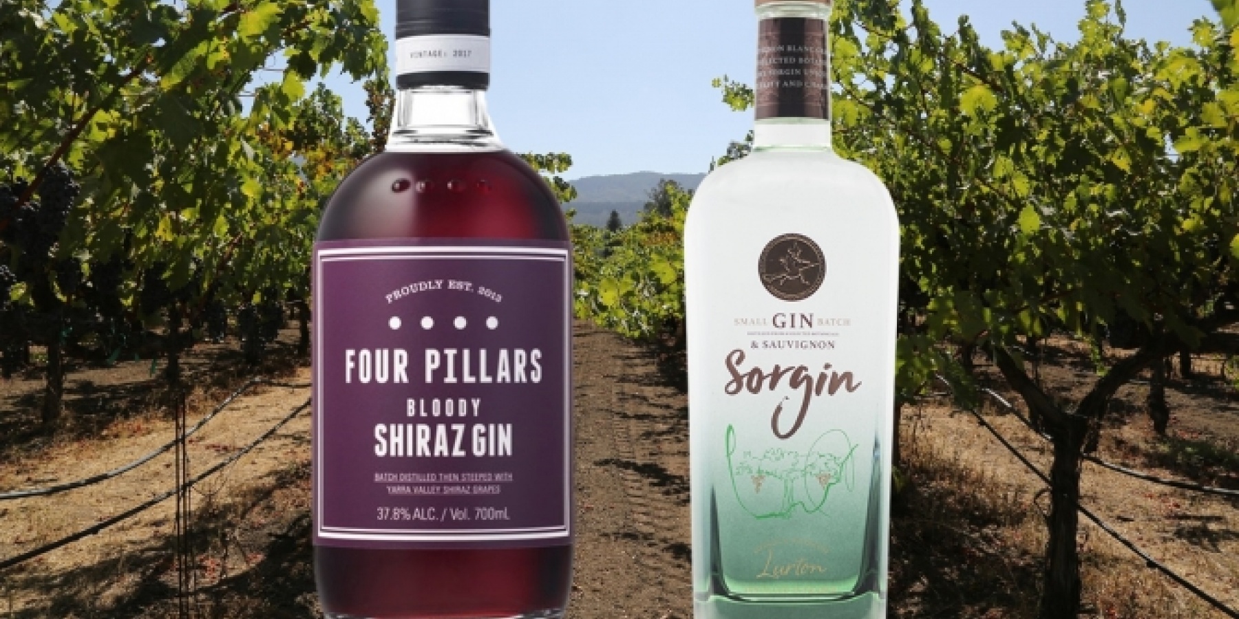 スピリッツとワインで最強のコンビ？
新たな顔が続々と
