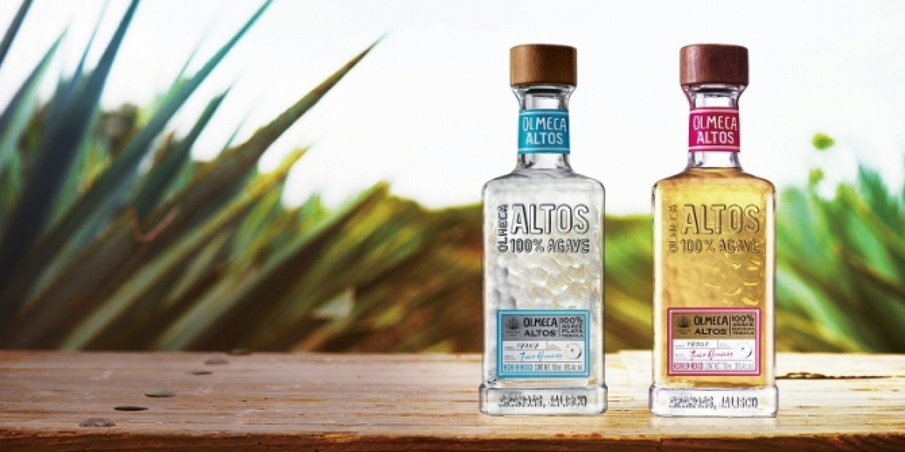 あのバーテンダーが開発したテキーラ
「オルメカ アルトス」新発売！
