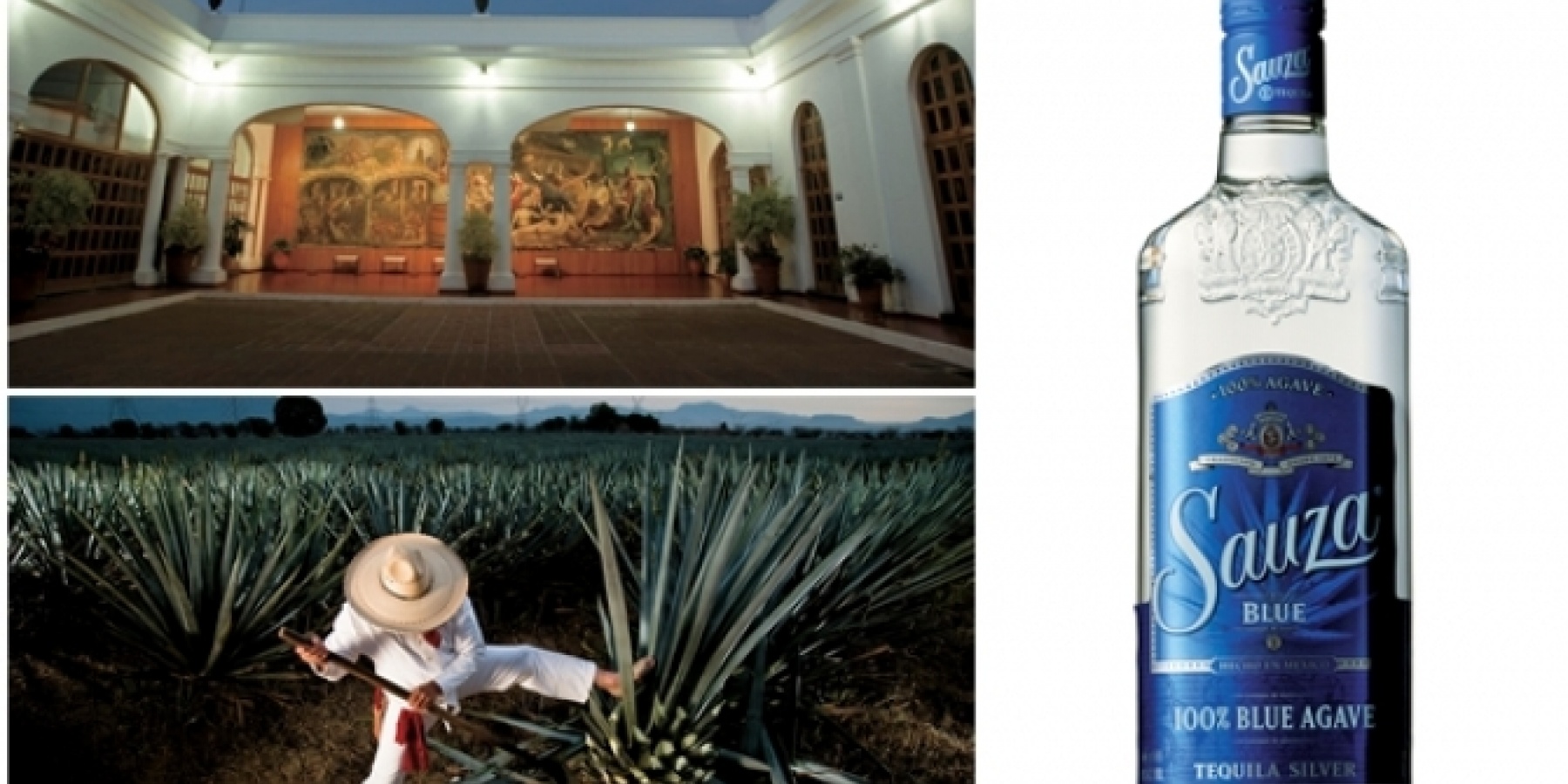 サウザブルー、日本上陸、
セミナーの模様をレポート！
