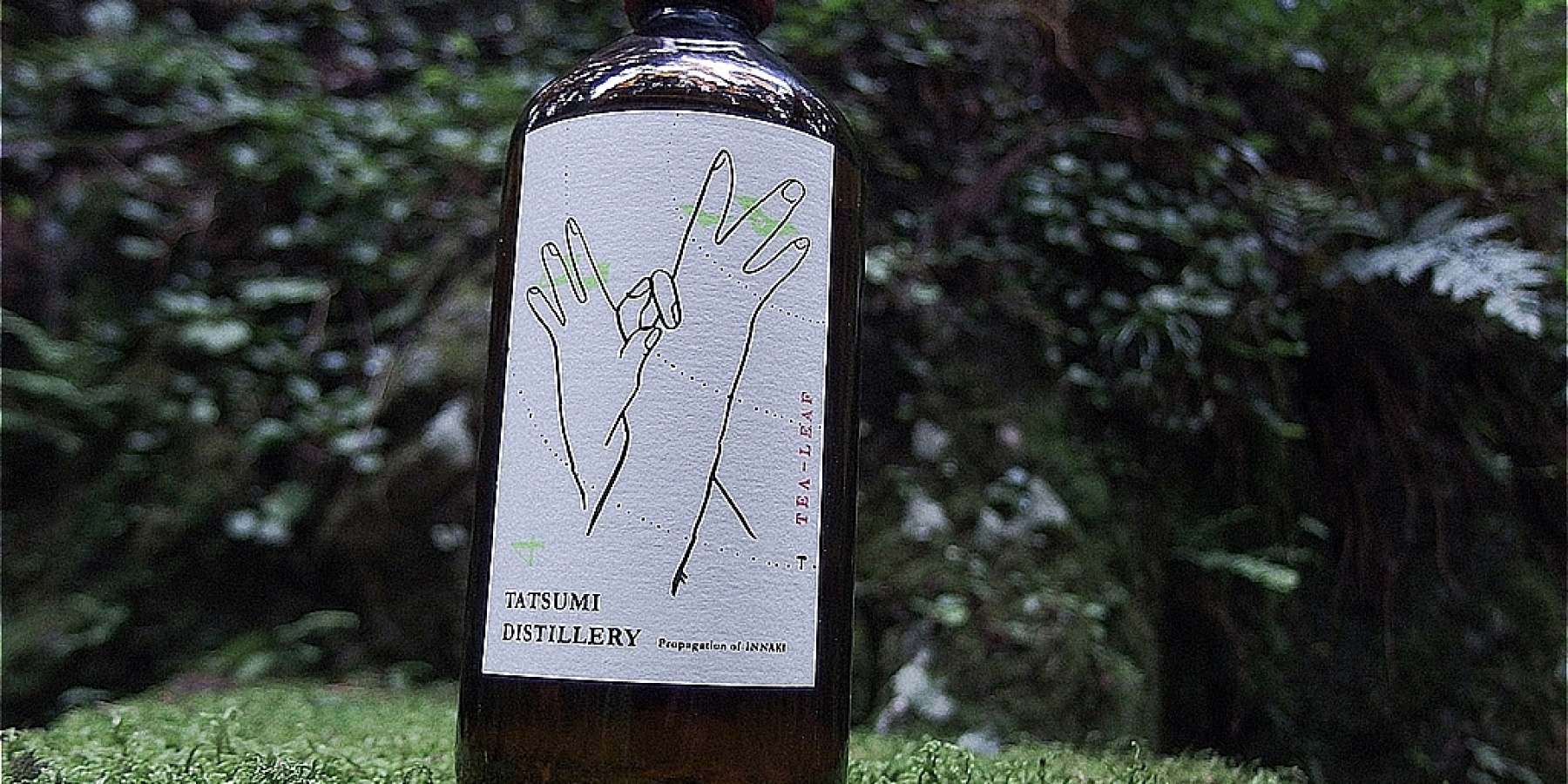 日本初! 日本茶の生葉を使ったジン
「First Essence Tea Leaf Gin」登場