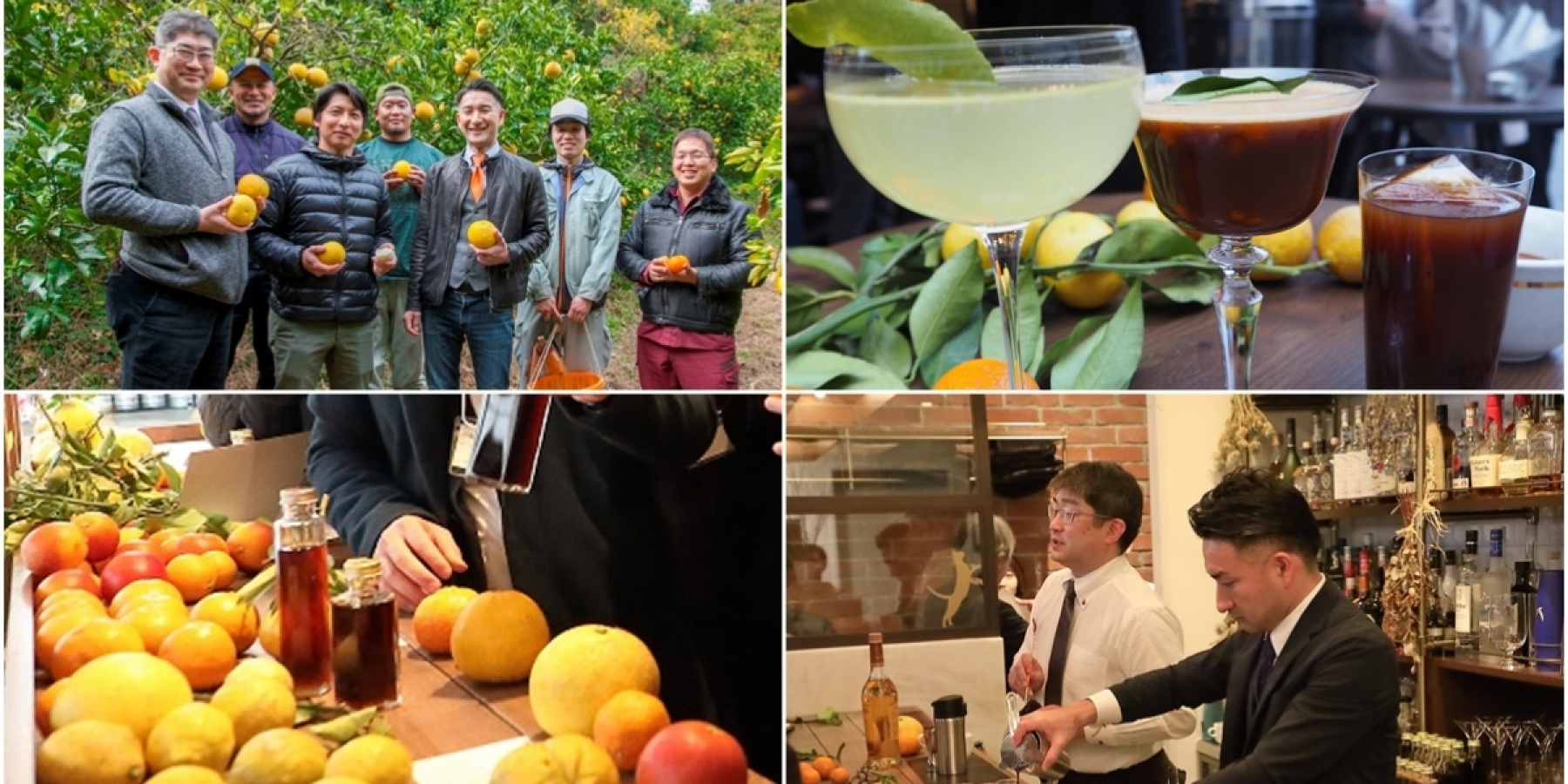 「愛媛柑橘応援プロジェクト」
カクテル試飲会・商談会レポ！
