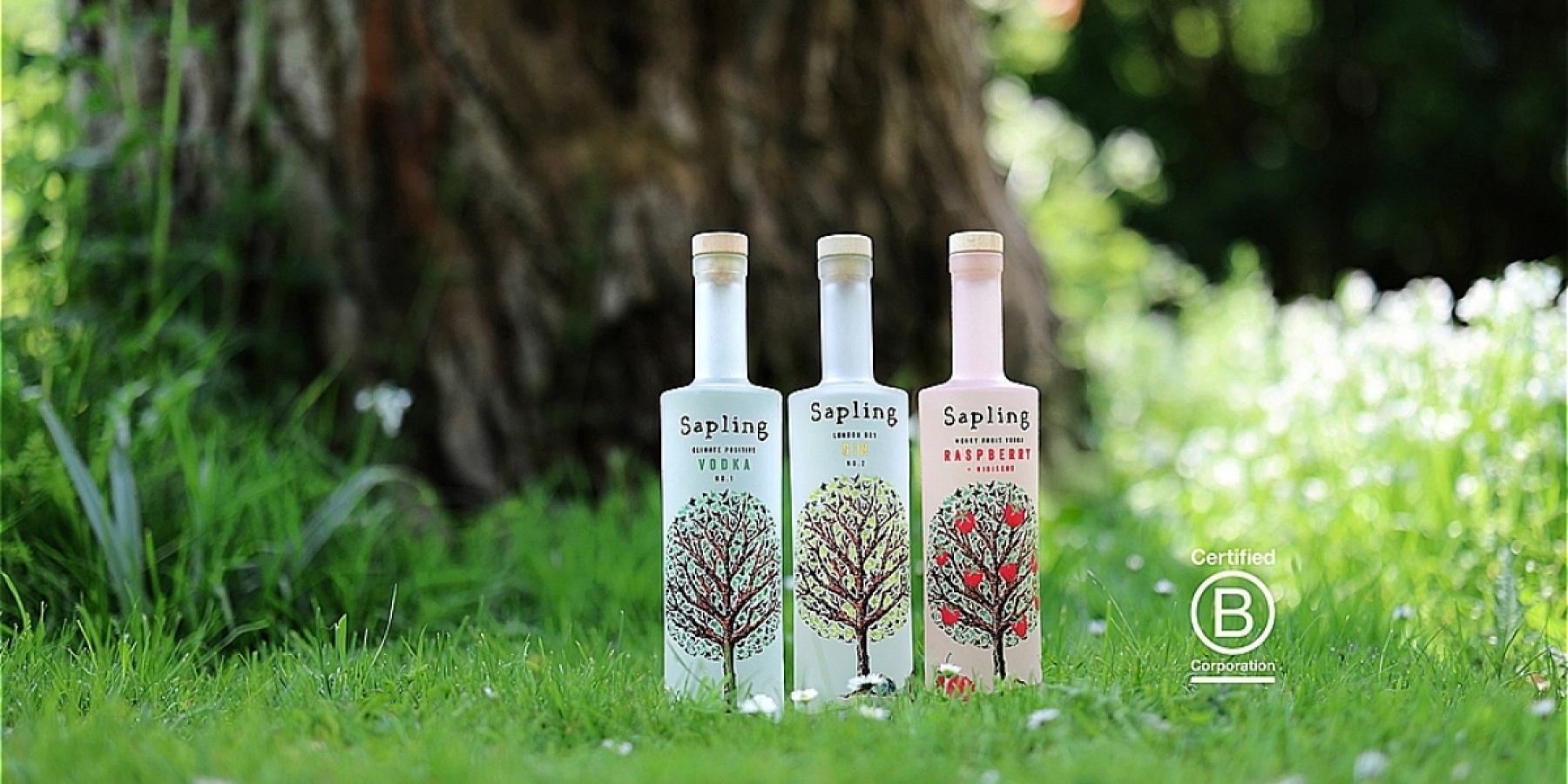 For every bottle sold, a tree is planted.Sapling, a sustainable liquor manufacturer!