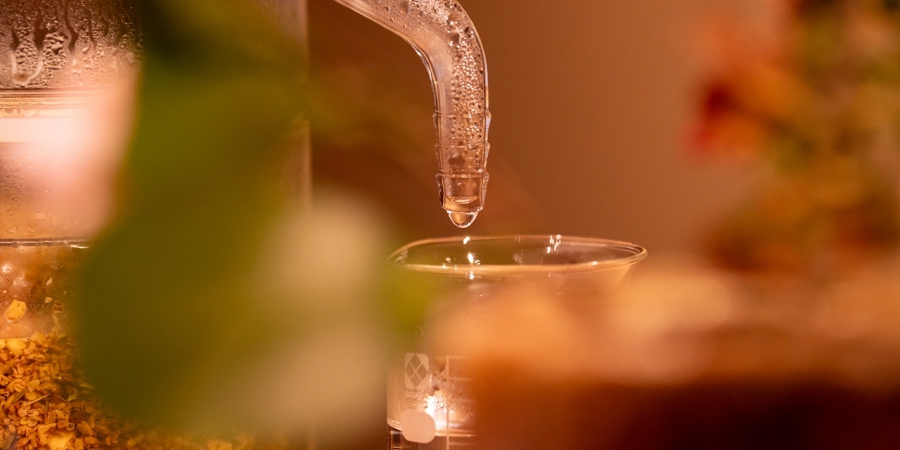 「幾星 京都蒸溜室」にて
「飲む香水」をつくる蒸溜体験教室！
