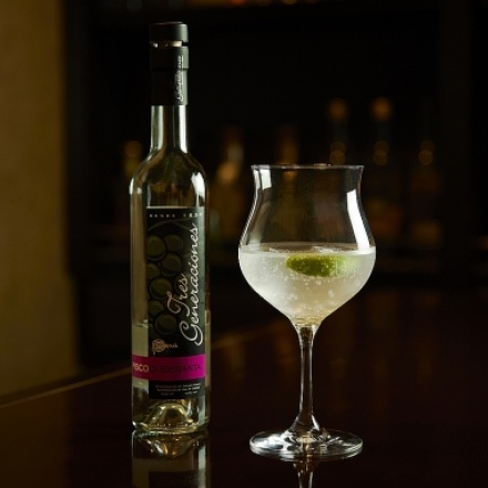 Pisco Tonic