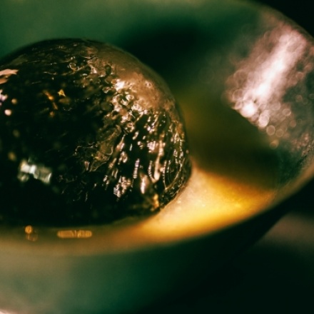 Medicinal Herbs and Kome Kōji