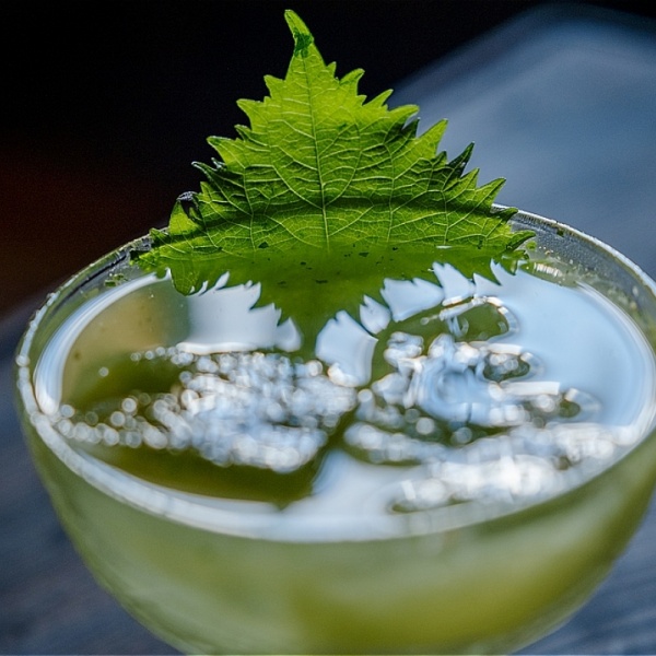 Sake Sake Mule