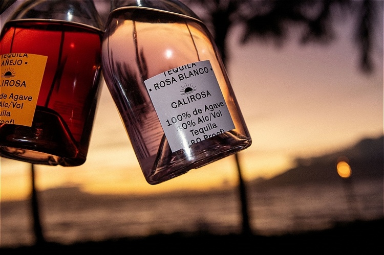 Maroon 5's Adam Levine backs Calirosa Tequila launch - The
